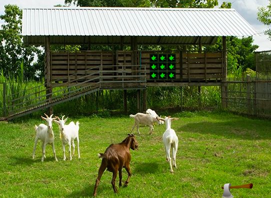 Games2Rule Goat Ranch Escape